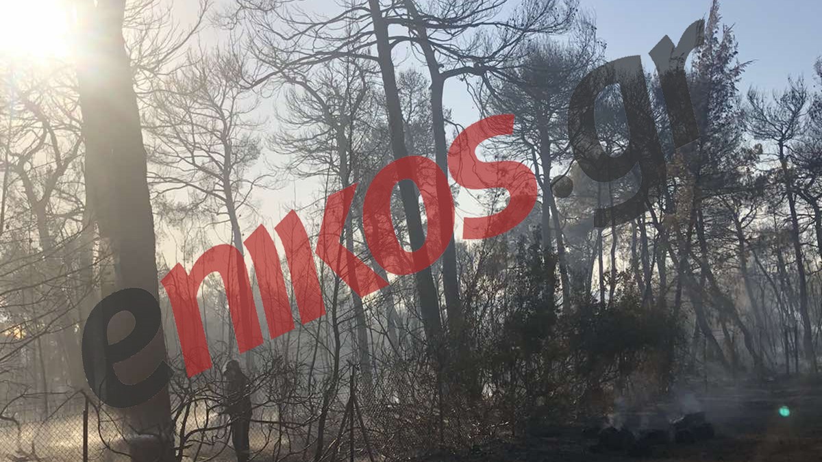 Καπνός και στάχτες από τη φωτιά στον Θεολόγο – ΦΩΤΟ αναγνώστη