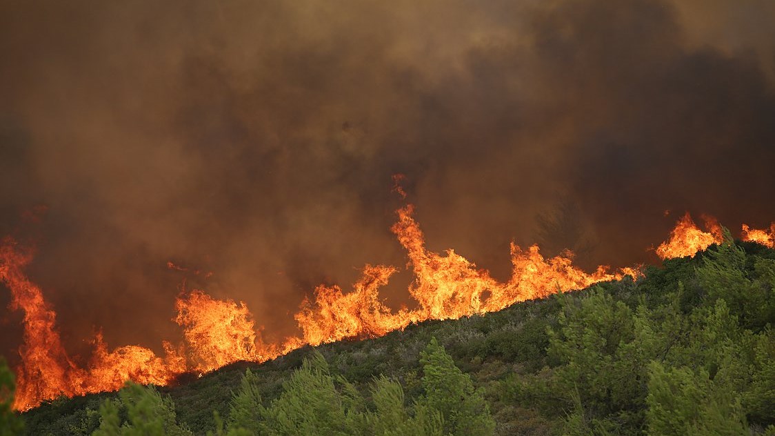 Φωτιά στην Αττική: Δύο προσαγωγές υπόπτων στον Άγιο Στέφανο – Τους έπιασαν με μπιτόνια βενζίνης