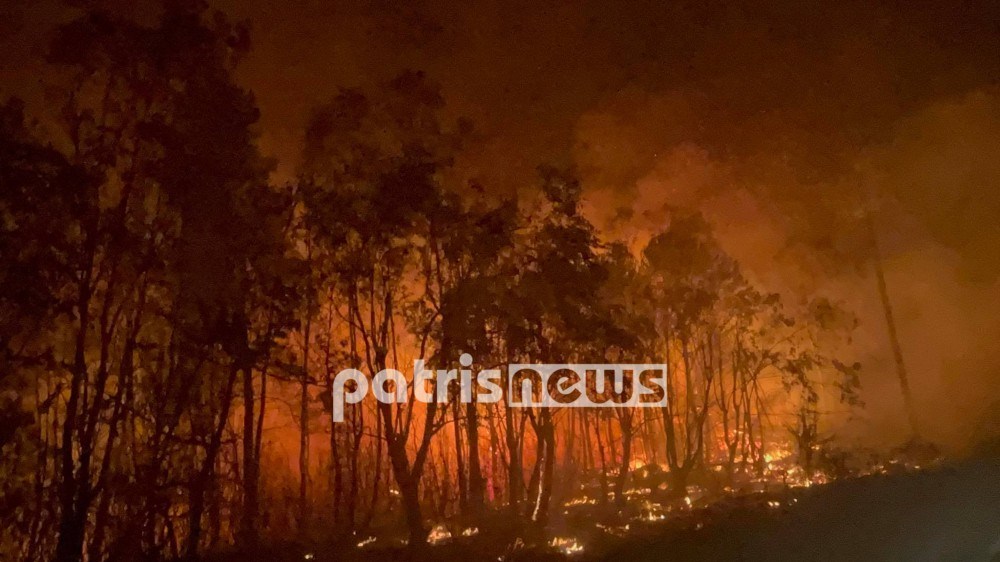 Φωτιά στην Ηλεία: Μάχη δίνουν οι πυροσβέστες στις περιοχές Αχλαδινή και Δούκας