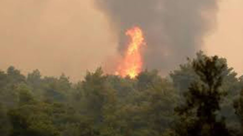 Φωτιά στην Αττική: Ελεύθεροι οι δύο προσαχθέντες που εντοπίστηκαν με μπιτόνια βενζίνης στον Άγιο Στέφανο
