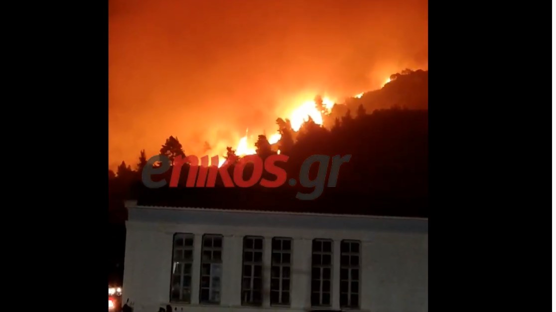 Πύρινη “κόλαση” στη Λίμνη Ευβοίας: Οι φλόγες έφτασαν μέχρι την παραλία – ΒΙΝΤΕΟ αναγνώστη