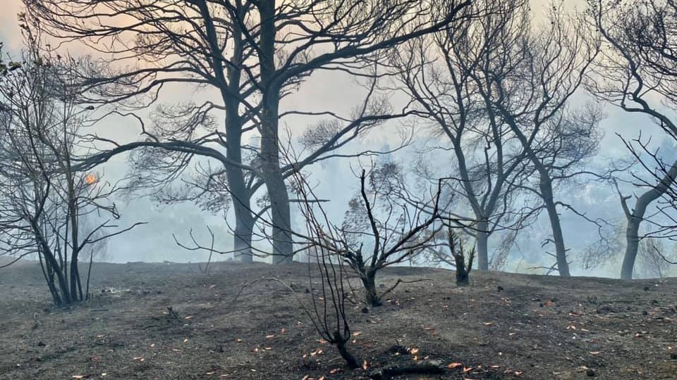 “Λύγισε” on air ο πρόεδρος της κοινότητας Αφιδνών – ΒΙΝΤΕΟ