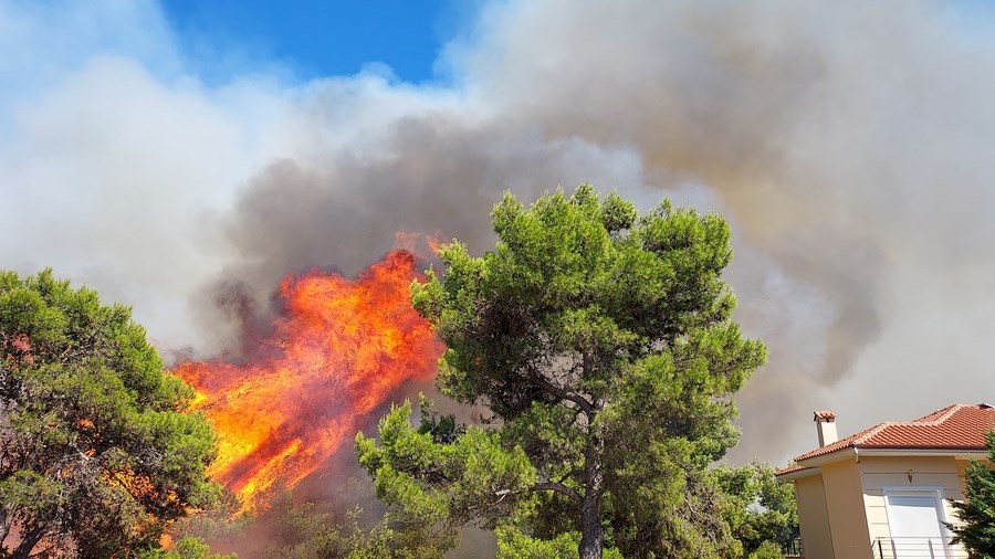 Εθνικό Αστεροσκοπείο Αθηνών: Εκτιμήσεις για πάνω από 270.000 καμένα στρέμματα σε Αττική και Εύβοια