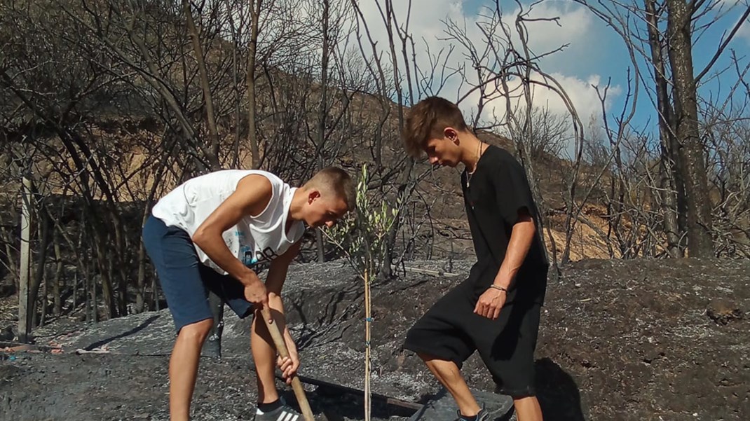 Αρχαία Ολυμπία: Μήνυμα ελπίδας από δύο 15χρονους – Φύτεψαν μια ελιά σε καμένο λόφο