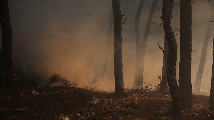 Φωτιά στην Ηλεία: Αναζωπυρώσεις στην Αχλαδινή – Εκκενώθηκαν οικισμοί