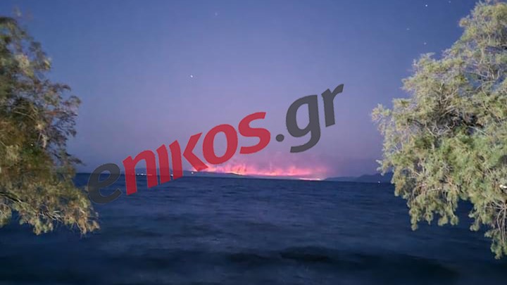 Πως φαίνεται η μεγάλη φωτιά στην Εύβοια από τη Νέα Αγχίαλο Μαγνησίας – ΦΩΤΟ αναγνώστη