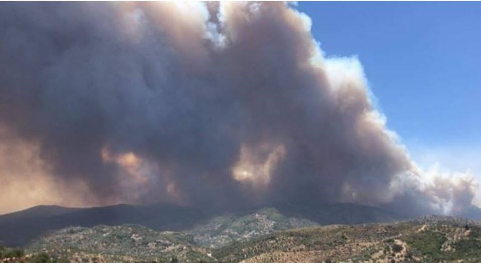 Συνεχίζεται η μάχη με τις φλόγες στην Ανατολική Μάνη – ΦΩΤΟ