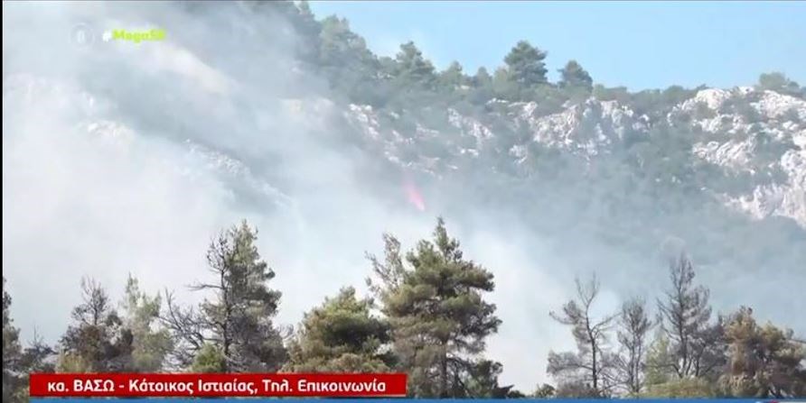 Δραματική έκκληση κατοίκου της Ιστιαίας: Έλεος, καιγόμαστε, είμαστε σε απόγνωση – ΒΙΝΤΕΟ