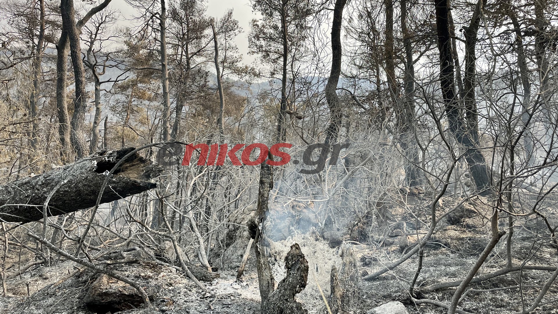 Αποκαρδιωτικό σκηνικό στην Ιπποκράτειο Πολιτεία – Η επόμενη μέρα μετά την καταστροφική φωτιά – ΦΩΤΟ