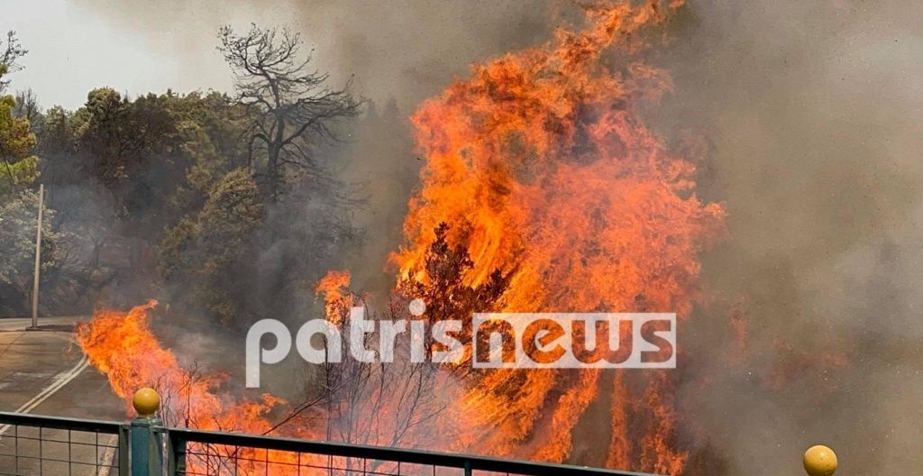 Φωτιά στην Ηλεία – Μάχη με νέες αναζωπυρώσεις – ΦΩΤΟ – BINTEO
