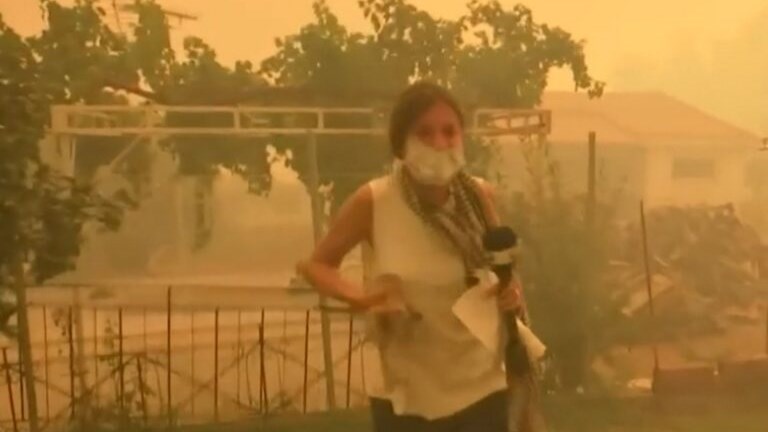 Φωτιά στην Εύβοια: Δημοσιογράφος της ΕΡΤ σώζει γατάκι την ώρα του ρεπορτάζ – ΒΙΝΤΕΟ