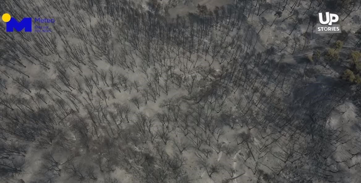 Φωτιά στην Εύβοια: Η βιβλική καταστροφή από ψηλά – ΒΙΝΤΕΟ