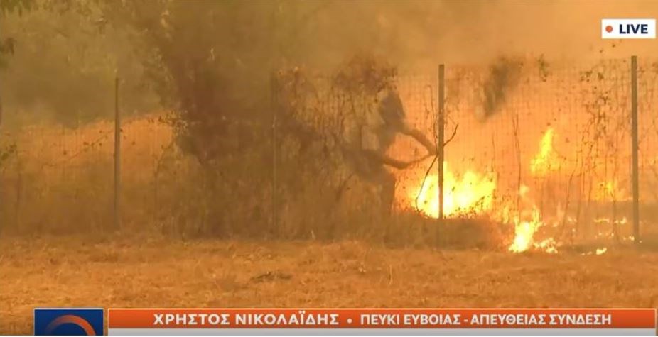 Συγκλονιστικό ΒΙΝΤΕΟ από την Εύβοια – Ηλικιωμένος προσπαθεί να σβήσει τη φωτιά με ένα κλαδί