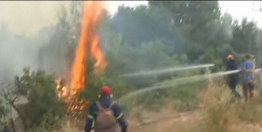 Πύρινος εφιάλτης στην Εύβοια: Απειλούνται χωριά – Σε κοντινή απόσταση από την Ιστιαία η φωτιά