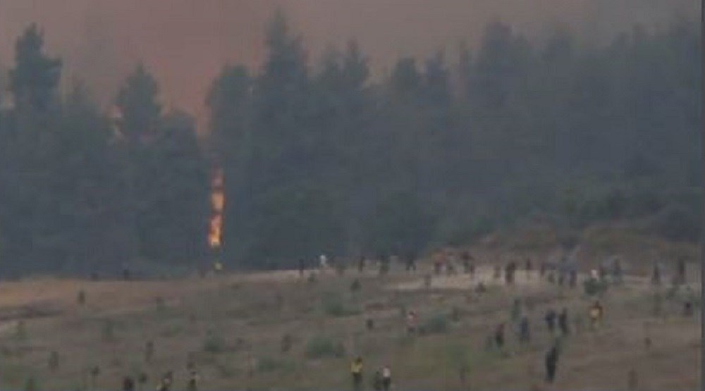 Συγκλονιστικές εικόνες στην Εύβοια: Ανθρώπινη αλυσίδα ενάντια στο μέτωπο της φωτιάς