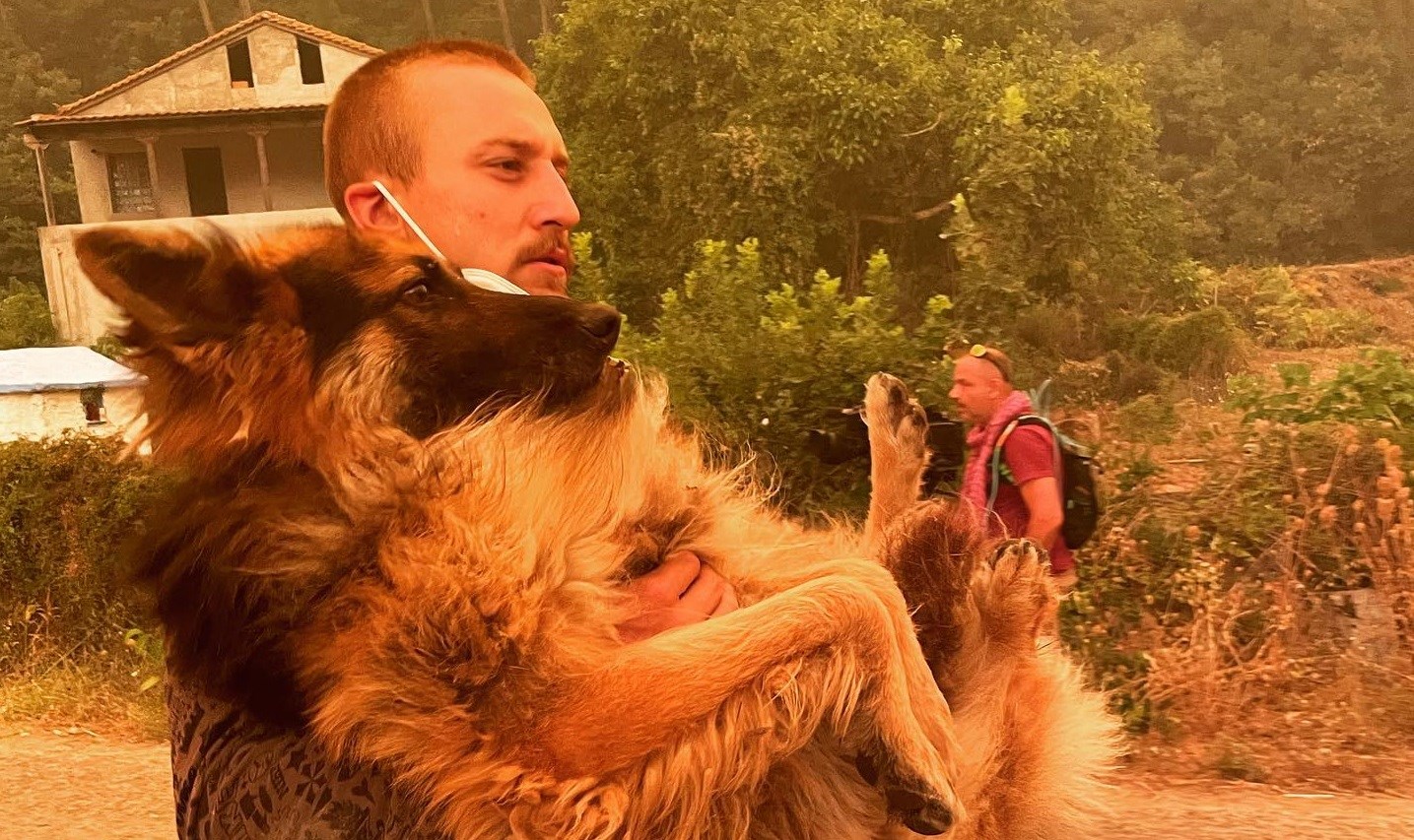 Φωτιά στην Εύβοια: Συγκλονίζει εθελοντής που έσωσε σκύλο – ΒΙΝΤΕΟ