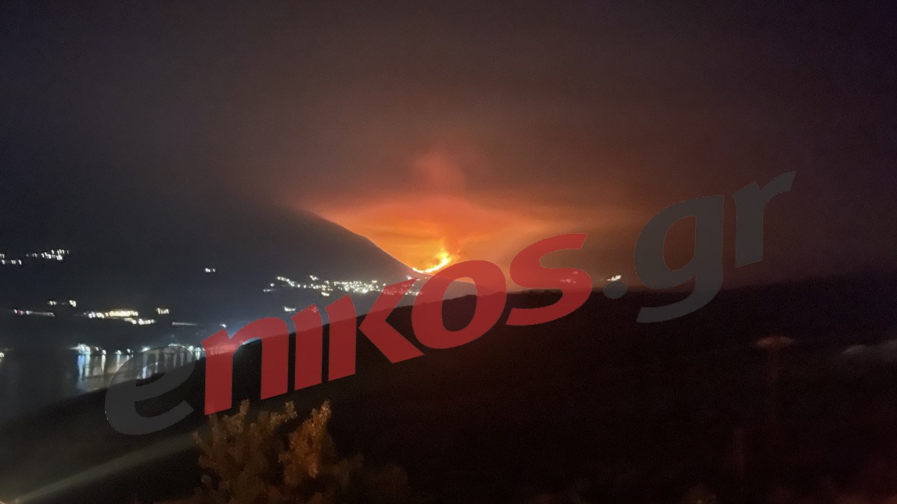 Μάχη με τις αναζωπυρώσεις στην Ανατολική Μάνη – Δύο τα μέτωπα της φωτιάς – ΦΩΤΟ – ΒΙΝΤΕΟ