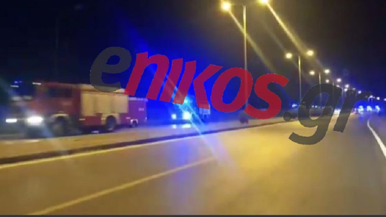 Στην Ελλάδα πυροσβέστες από την Πολωνία και τη Σλοβενία – ΒΙΝΤΕΟ αναγνώστη