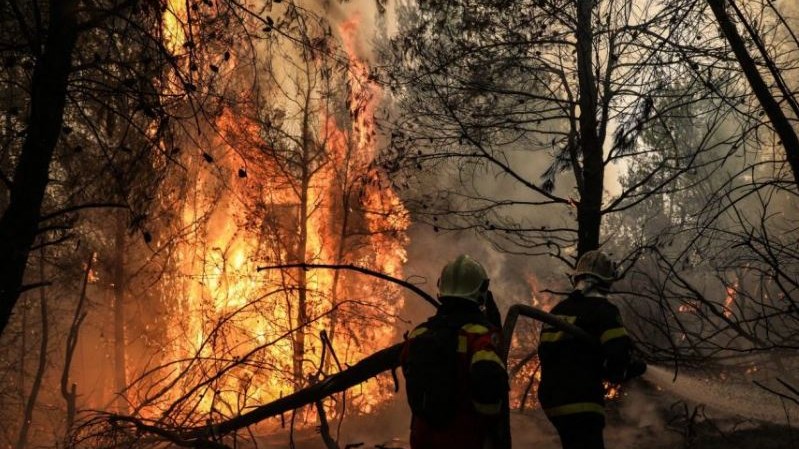 Φωτιά στην Εύβοια: Μαίνεται η μάχη με τις αναζωπυρώσεις