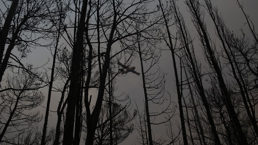 Φωτιά στην Αττική: Πώς αυξήθηκαν οι άνεμοι και η θερμοκρασία μέσα σε 10 λεπτά στο Τατόι – Αναλυτικά διαγράμματα