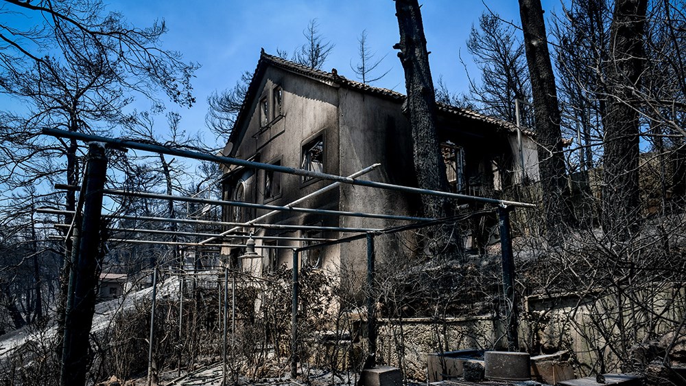 Πότε θα δοθούν οι πρώτες αποζημιώσεις στους πυρόπληκτους – Τι είπε ο Σκυλακάκης – ΒΙΝΤΕΟ