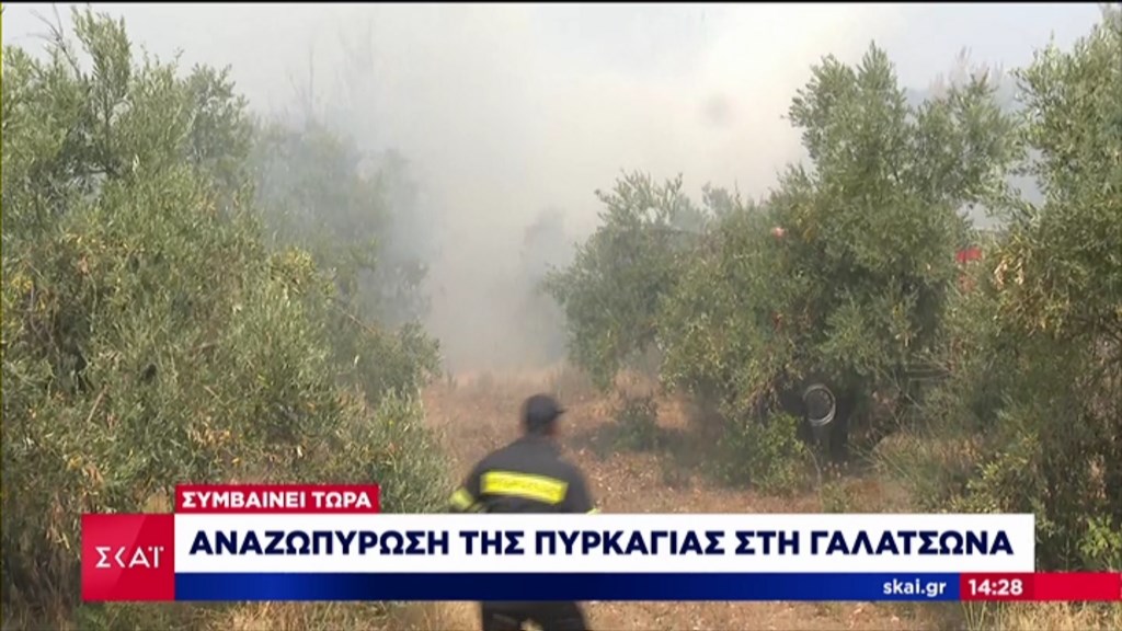 Φωτιά στην Εύβοια: Αναζωπύρωση στη Γαλατσώνα