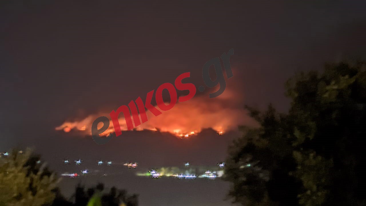 Χαλκιδική: Υπό έλεγχο οι φωτιές στη Σιθωνία και στην Κασσάνδρα – ΦΩΤΟ & ΒΙΝΤΕΟ αναγνώστη