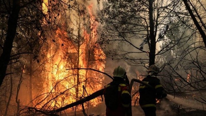 Φωτιά στην Εύβοια: Η καταγγελία ότι πυροσβέστης “σαμπόταρε” το έργο εθελοντών και η απάντηση της Πυροσβεστικής