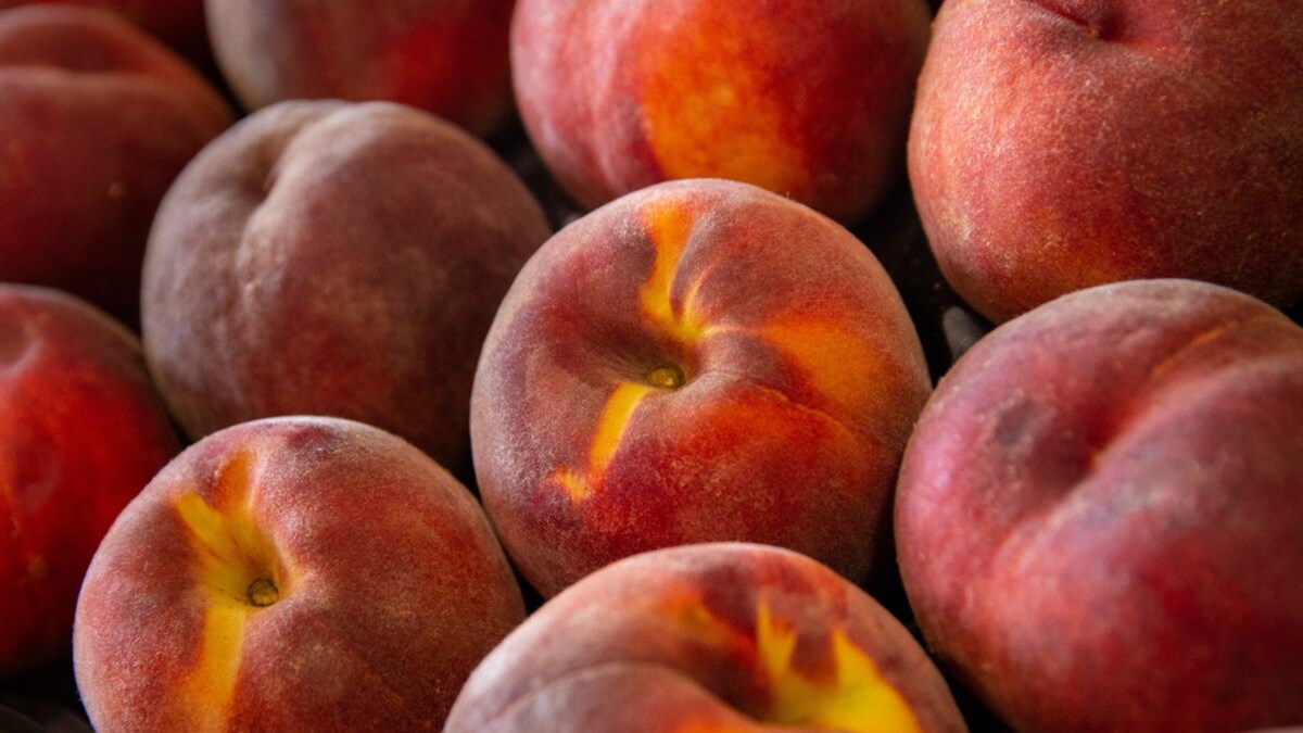 “Επιχείρηση Κλοιός”: Μεγάλο κύκλωμα φοροδιαφυγής στο εμπόριο ροδάκινων – Πώς δρούσε