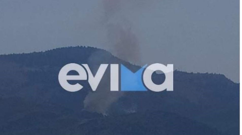 Νέος συναγερμός στην Εύβοια: Ξέσπασε φωτιά σε δασική έκταση – Οι πρώτες εικόνες
