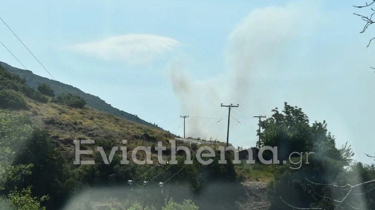 Εύβοια: Ενισχύθηκαν οι δυνάμεις της Πυροσβεστικής – Σε δύσβατο σημείο η πυρκαγιά