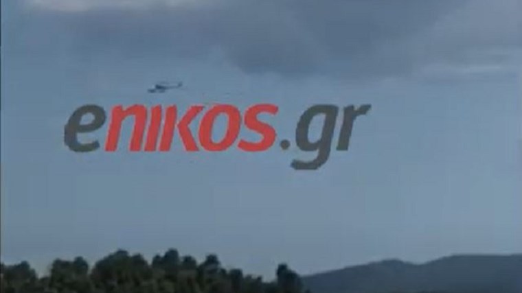 Φωτιά στη Χαλκιδική – Οι πρώτες εικόνες – ΒΙΝΤΕΟ αναγνωστών