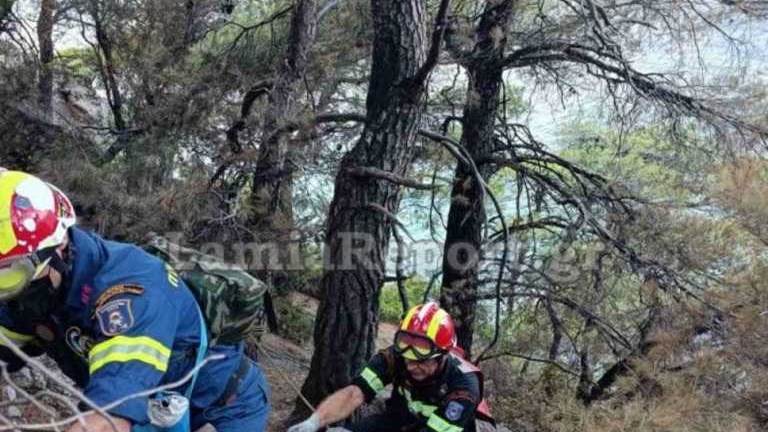 Φωτιά στην Εύβοια: Οι “κομάντο” της Πυροσβεστικής που πάλεψαν με τις φλόγες