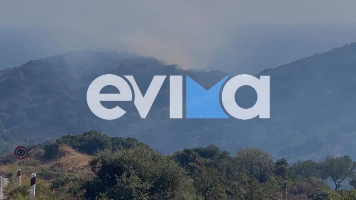 Εύβοια: Φωτιά ΤΩΡΑ στις Πετριές – Οι πρώτες εικόνες – ΦΩΤΟ