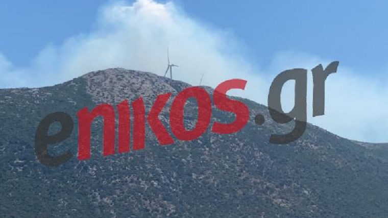 Εύβοια: ΦΩΤΟ και ΒΙΝΤΕΟ αναγνώστη από τη φωτιά στα Μεσοχώρια