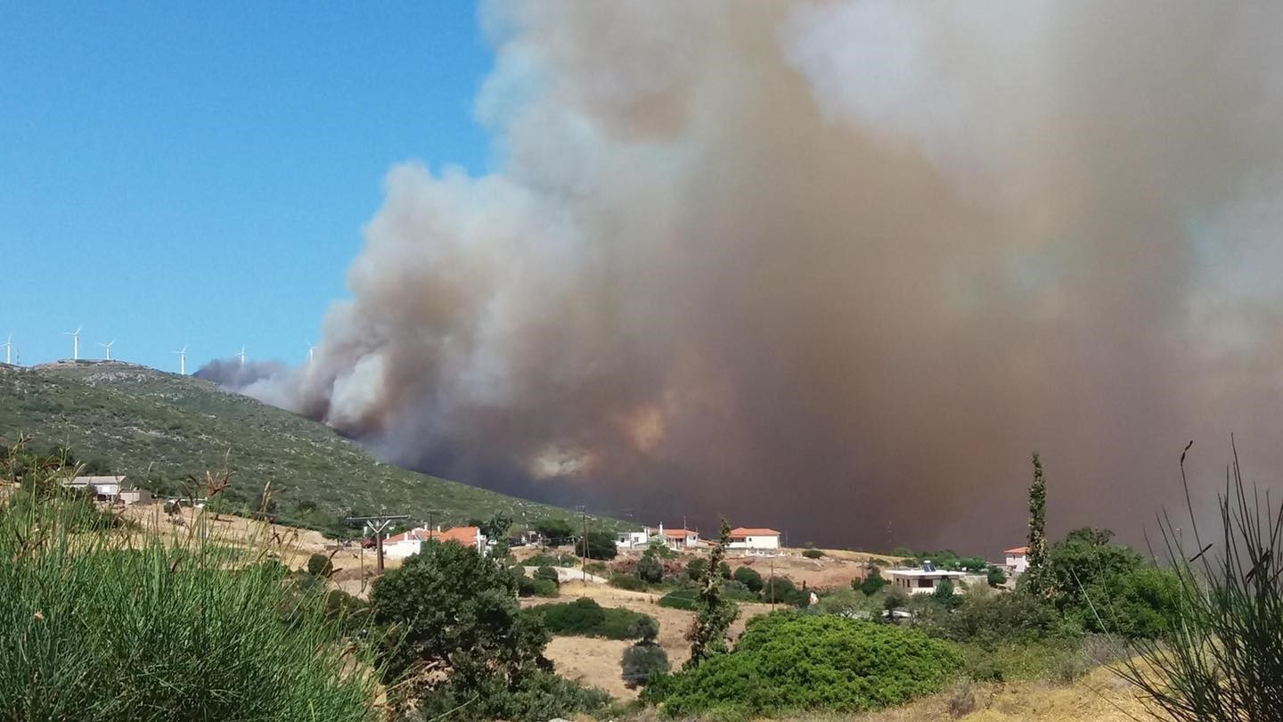 Εύβοια: Μεγάλη φωτιά στα Μεσοχώρια – Εκκενώνεται ο οικισμός – ΦΩΤΟ – ΒΙΝΤΕΟ