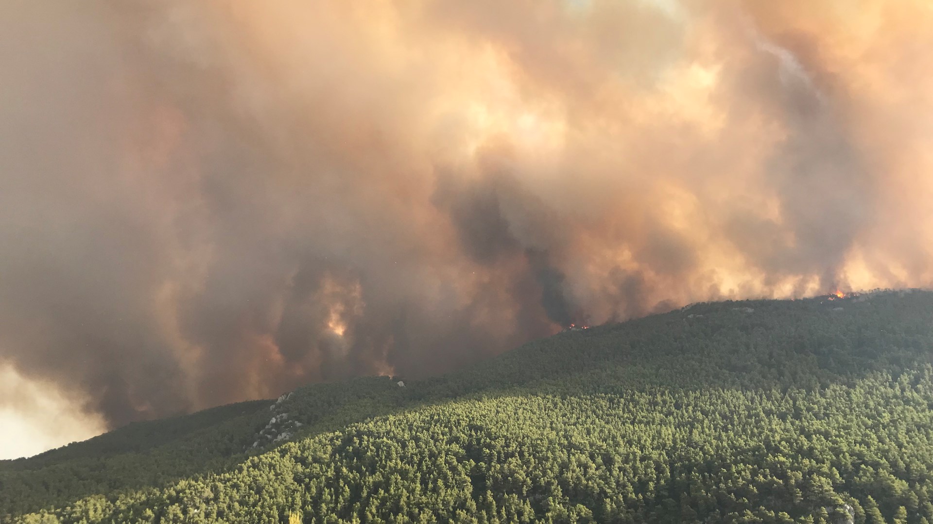 Πολύ υψηλός κίνδυνος πυρκαγιάς για τέσσερις Περιφέρειες τη Δευτέρα – Δείτε τον χάρτη