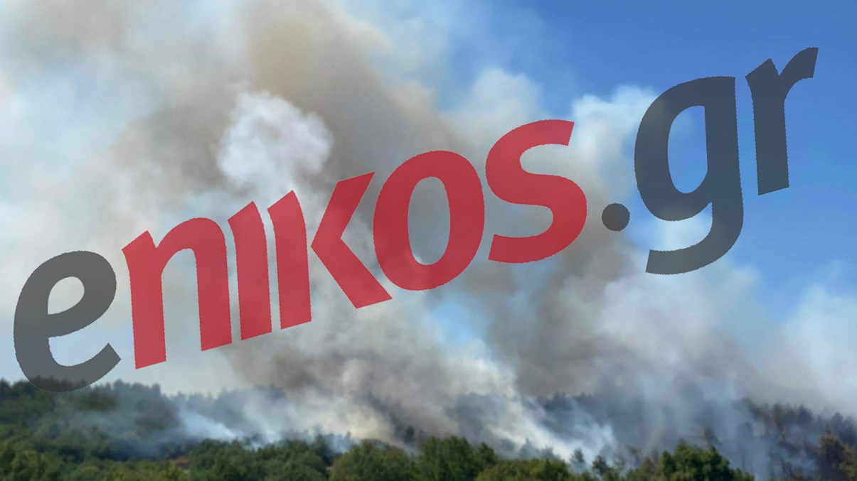 Κομοτηνή: Σε ύφεση η φωτιά σε δασική έκταση στη Νυμφαία – ΦΩΤΟ αναγνώστη