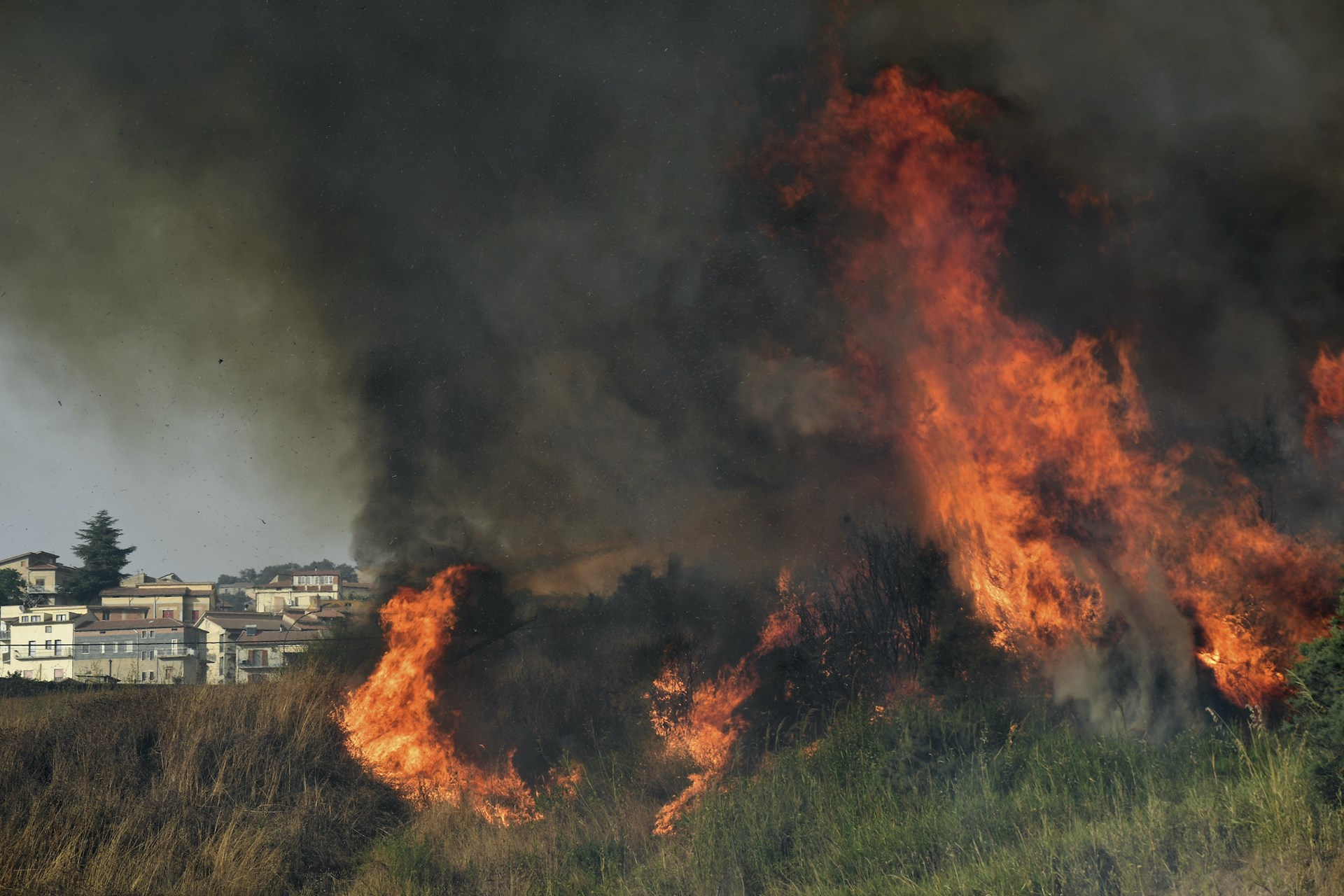 Η Ιταλία υπέστη τις μεγαλύτερες καταστροφές από τις δασικές πυρκαγιές φέτος στην Ευρώπη