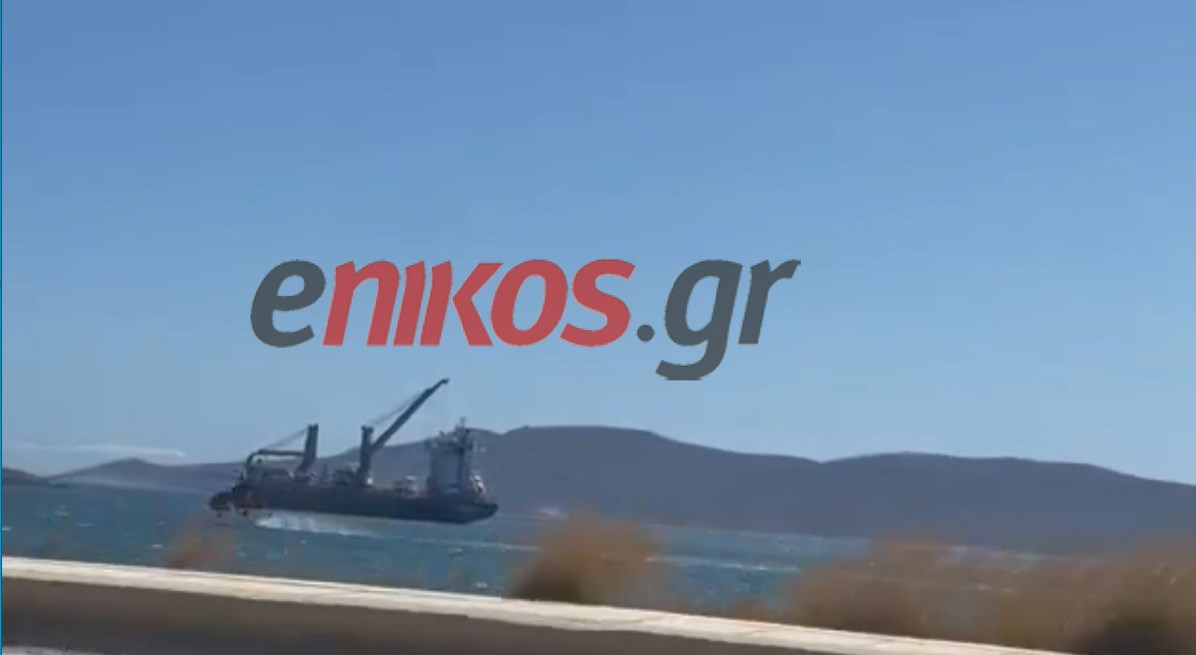 Φωτιά στην Κερατέα: Στη μάχη τα εναέρια μέσα – ΒΙΝΤΕΟ αναγνώστη