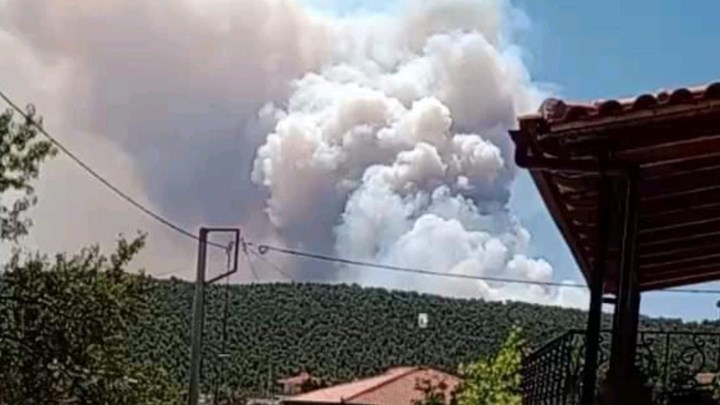 Φωτιά στα Βίλια: Έκτακτες κυκλοφοριακές ρυθμίσεις