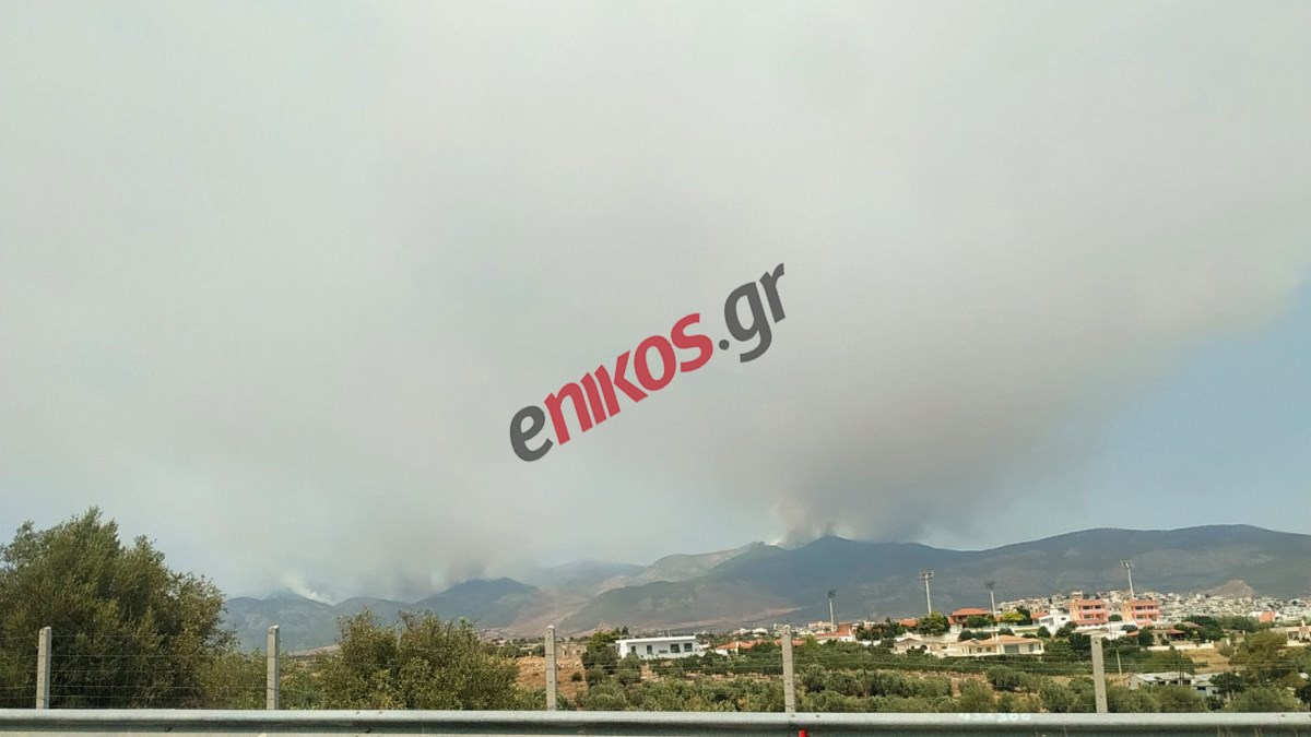 Συνεχείς οι αναζωπυρώσεις στα Βίλια – Στη μάχη με τις φλόγες και τα Σινούκ – ΦΩΤΟ & ΒΙΝΤΕΟ αναγνώστη