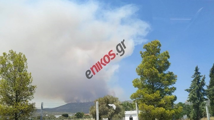 Φωτιά στα Βίλια: Ολονύχτια μάχη με τις αναζωπυρώσεις – Πάνω από 20 χλμ. το μέτωπο – ΦΩΤΟ – ΒΙΝΤΕΟ