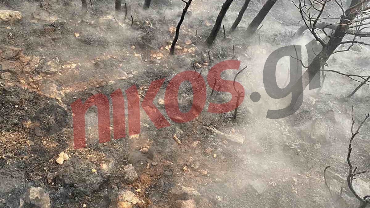 Βίλια: Μάχη με τις φλόγες στο όρος Πατέρα – ΦΩΤΟ αναγνώστη