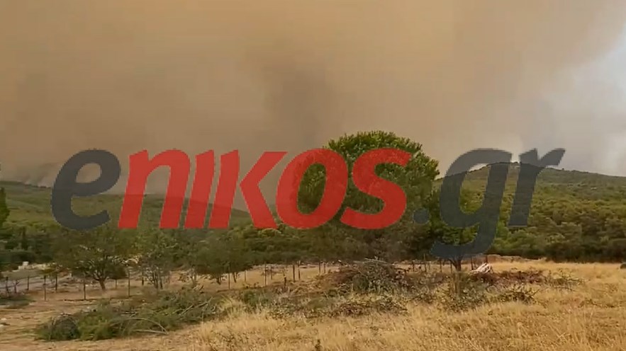 Φωτιά στα Βίλια: Το μέτωπο από τα Παλαιοκούνδουρα – ΒΙΝΤΕΟ αναγνώστη