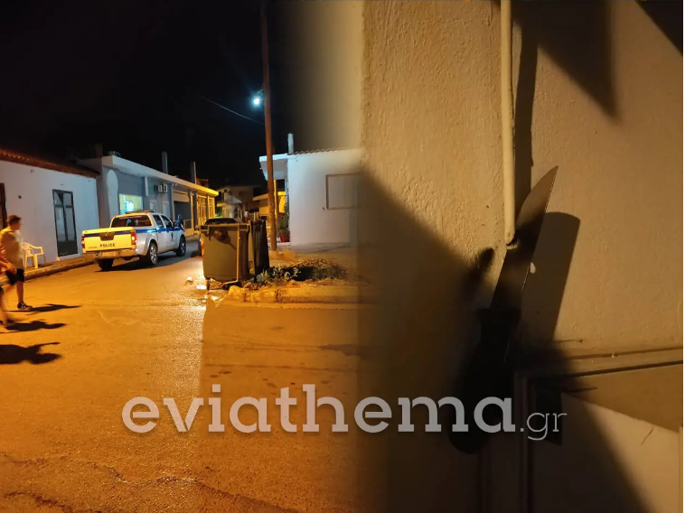 Ψαχνά Ευβοίας: 52χρονη αποπειράθηκε να κόψει καλώδιο ρεύματος με μαχαίρι