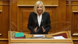 Φώφη Γεννηματά Βουλή