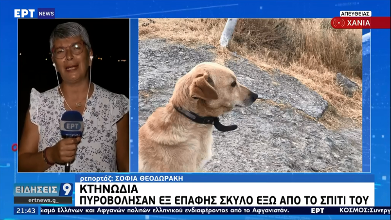 Σοκ στα Χανιά: Πυροβόλησαν εξ επαφής σκύλο έξω από το σπίτι του