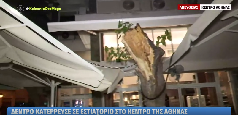 Δέντρο πτώση Αθήνα
