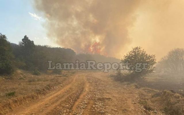Ανεξέλεγκτη η φωτιά στη Φθιώτιδα – Εκκενώθηκε το χωριό Λογγίτσι – ΦΩΤΟ και ΒΙΝΤΕΟ
